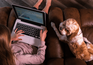 girl using laptop on couch with dog